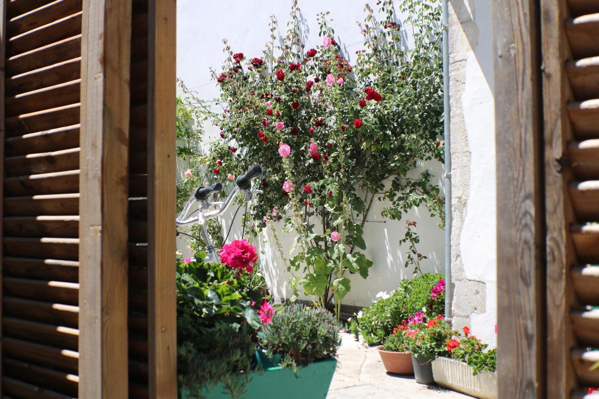 Beau T3 *** Pour 2 A 4 Pers Avec Patio Privatif Apartment La Couarde-sur-Mer Exterior photo